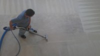 Carpet Cleaning