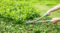 Pruning the Property