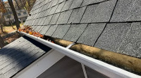 Gutter Cleaning